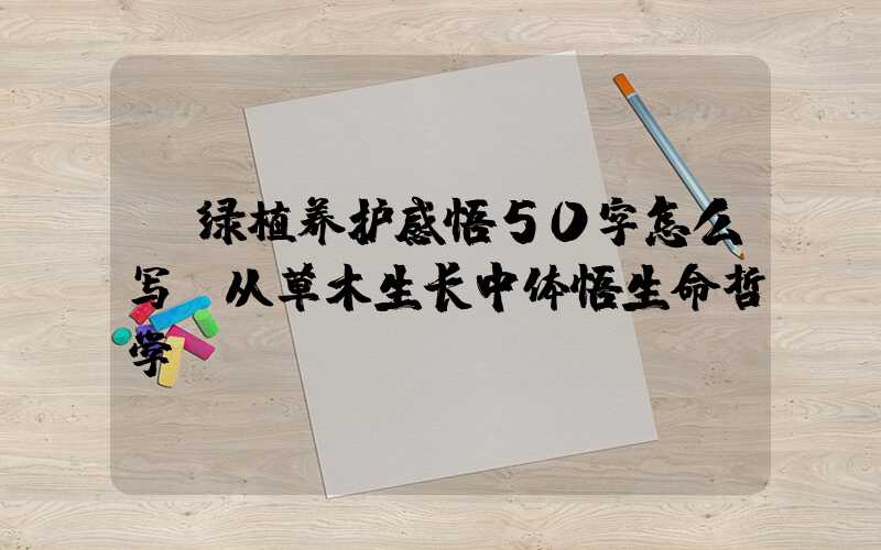  绿植养护感悟50字怎么写：从草木生长中体悟生命哲学